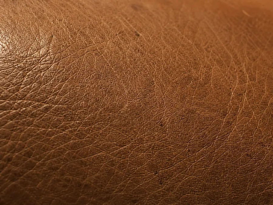 Naturbelassenes Leder zeigt Narbenbild, kleine Hautmerkmale und eine offenporige Oberfläche