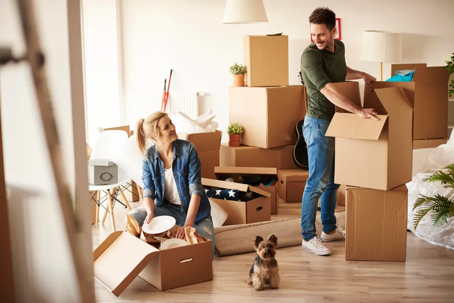 Neues Zuhause einrichten: Stil, Qualität, Licht und Stauraum